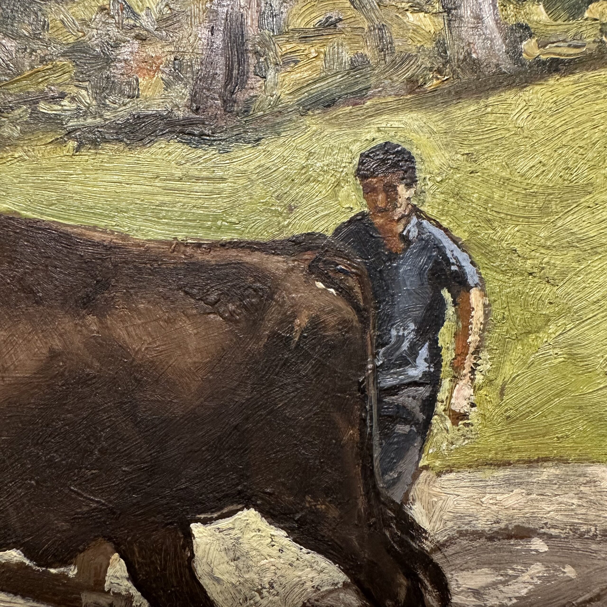 Espinosa de los Monteros - imagine 3