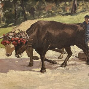 Espinosa de los Monteros