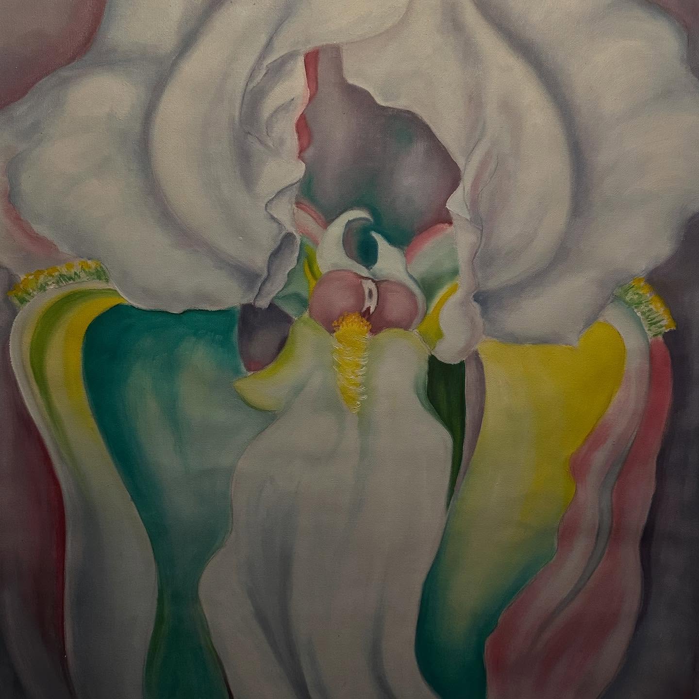 Iris alb - imagine 3