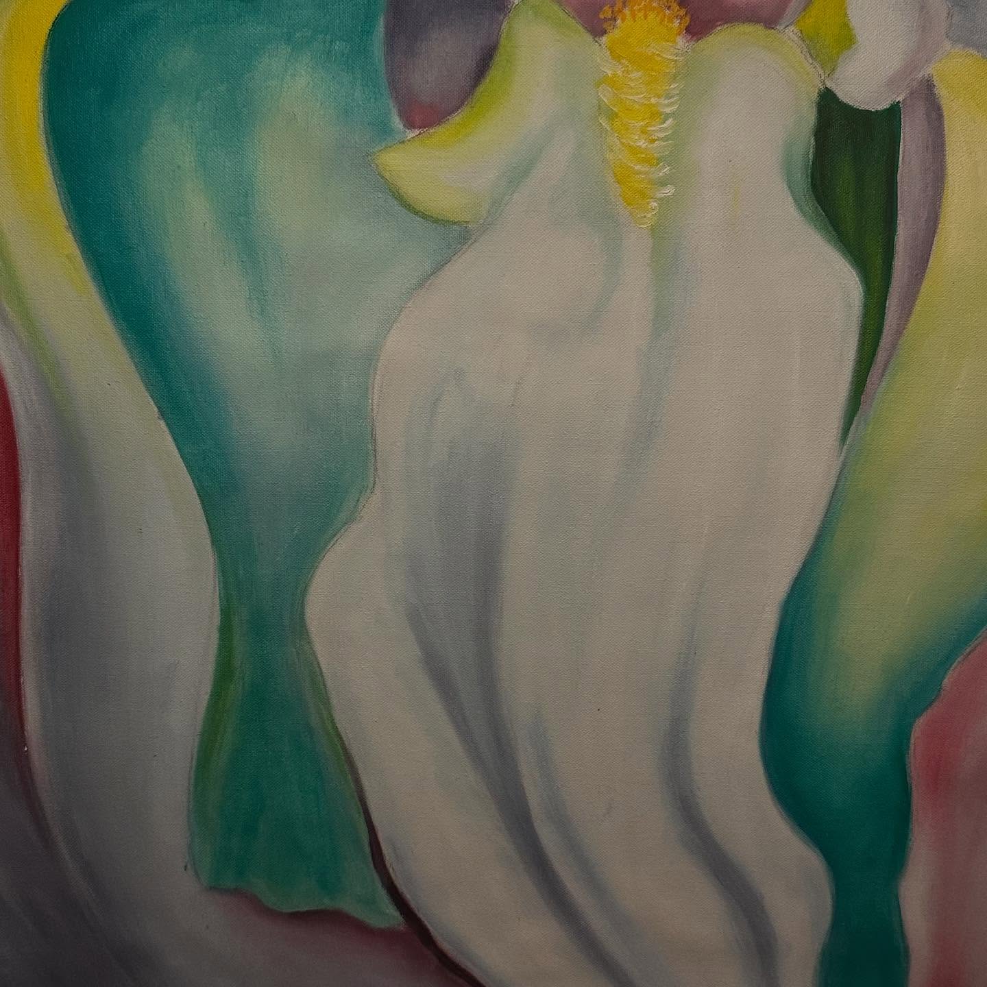 Iris alb - imagine 7