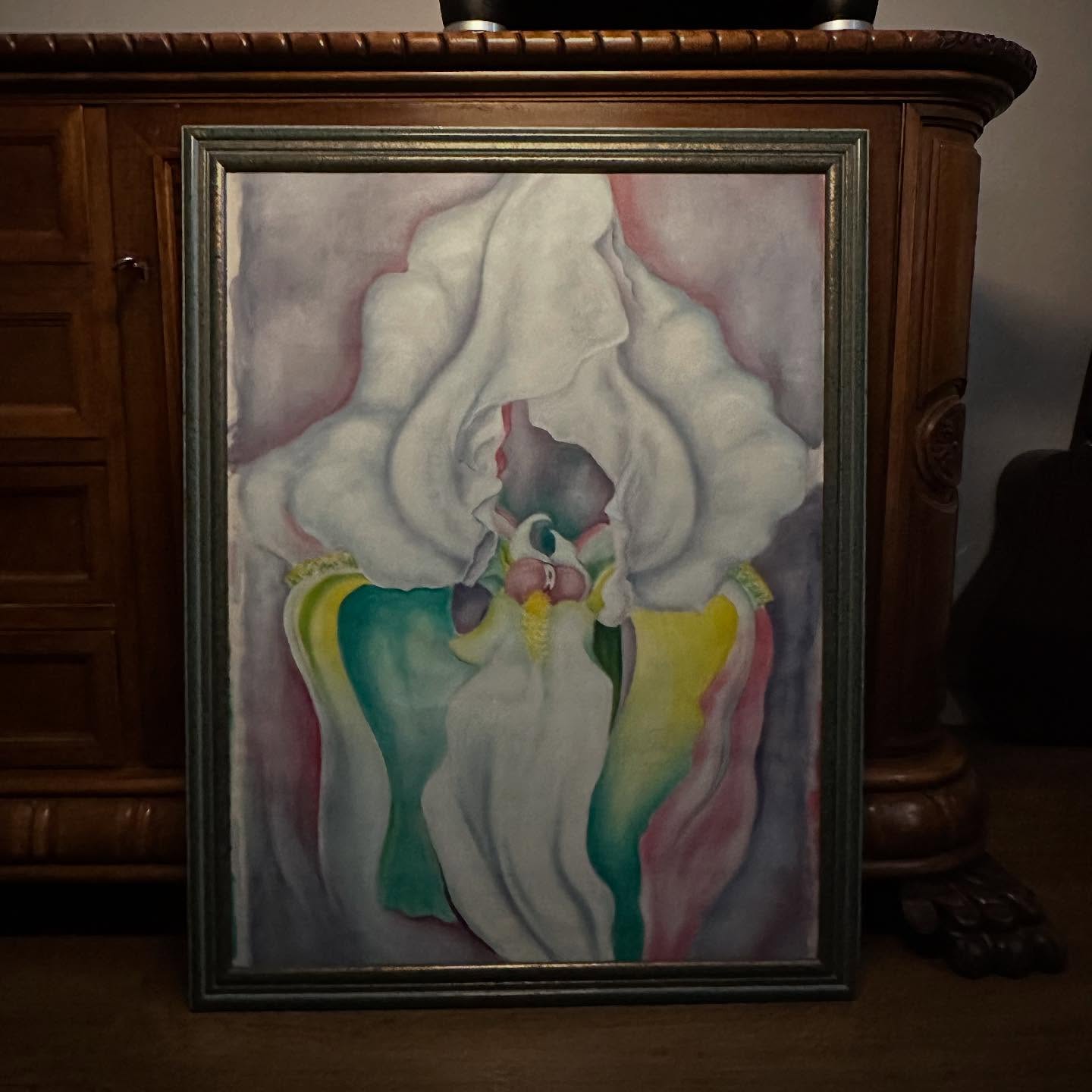 Iris alb - imagine 2