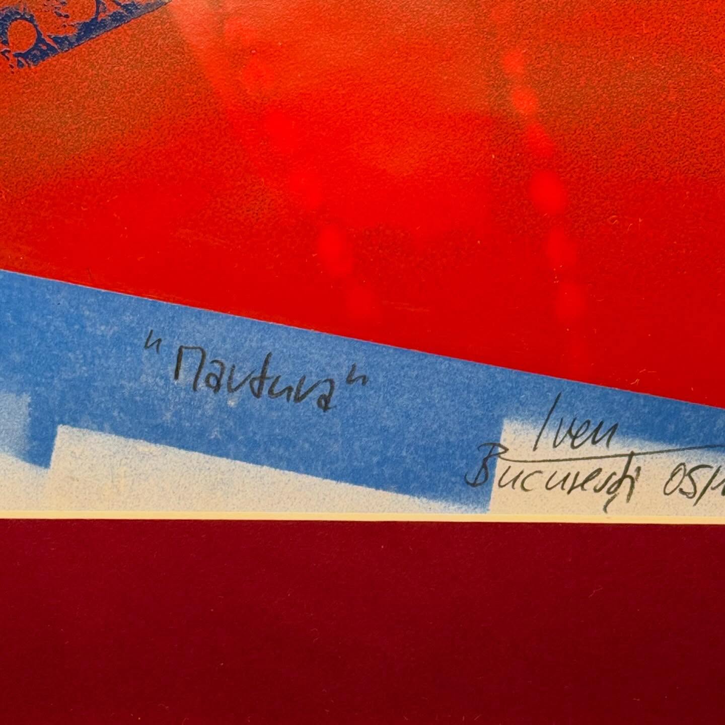 Am văzut totul - imagine 7