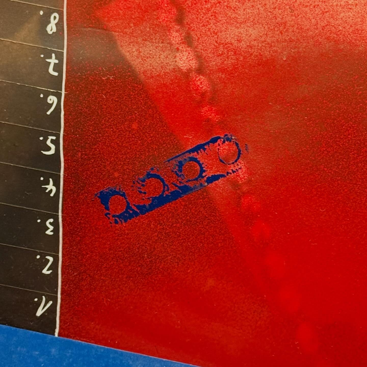 Am văzut totul - imagine 5